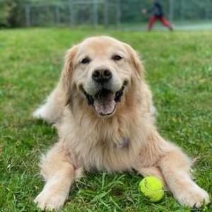 Meet your Posher, Valerie